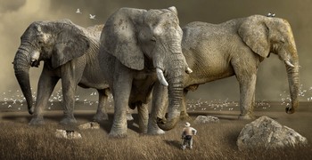 Бесплатные пазлы со слоном