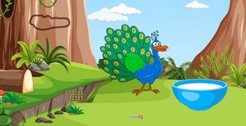 Найти друзей павлина Найти друзей павлина