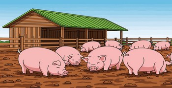 Свинтусы домой хотят